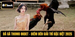 Đá Gà Thomo